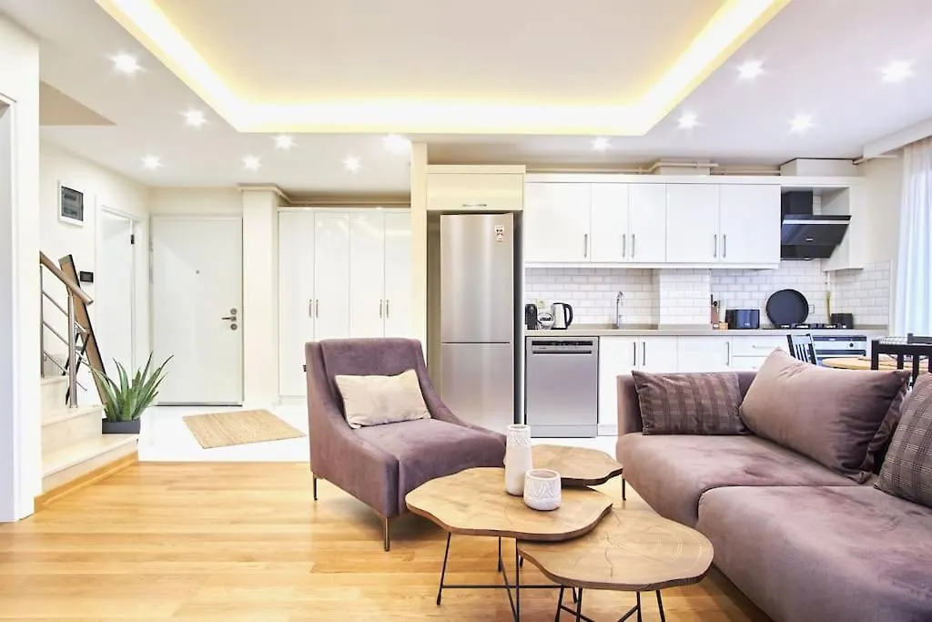 Privat 3 Bedroom Duplex Apartment At Ulus Besiktas Istanbul Turkey